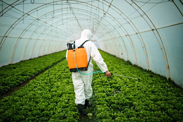 Professional Pest Control in Dickson, OK