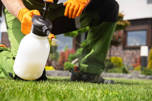 Best Affordable Pest Control Services  in Dickson, OK