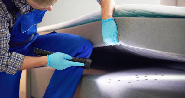 Pest Prevention Services in Dickson, OK