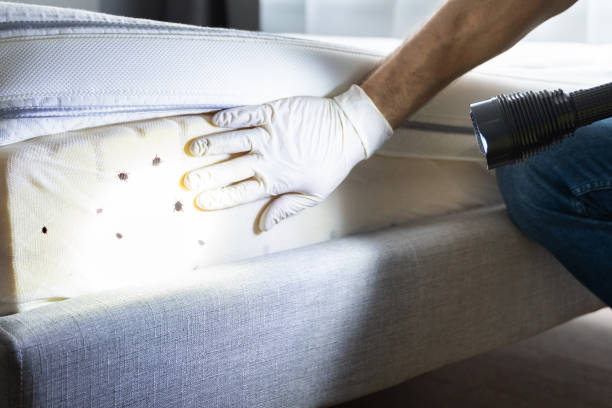 Best Pest Prevention Services  in Dickson, OK