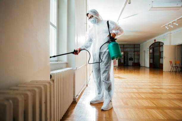 Best Best Pest Control Companies  in Dickson, OK